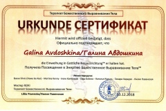 thumbs_sertifikat-41